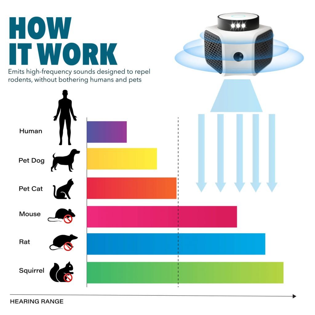 Do Ultrasonic Pest Repellers Work on Bats? Rodents, Reptiles & Bats