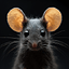 Avatar for MouseHater22